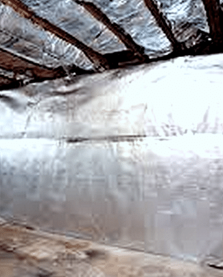 Vapor Barriers for Wine Cellars